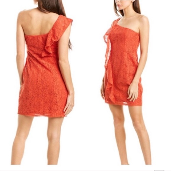 Cupcakes and Cashmere Burnt Red One Shoulder Dress - Picture 5 of 9